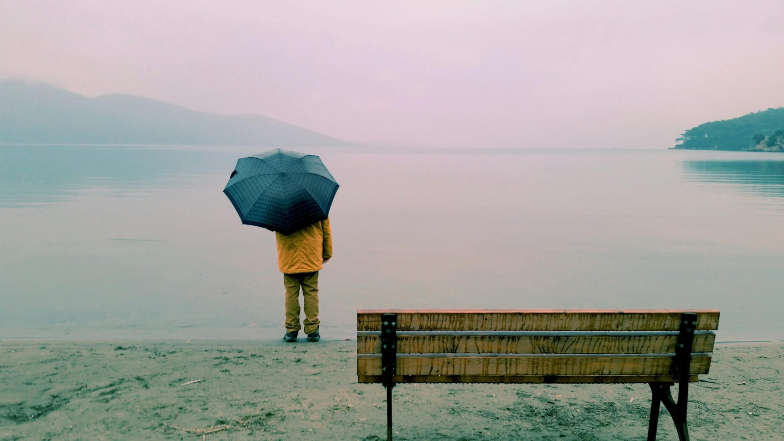 A person holding an umbrella stands alone by a peaceful lake, evoking calm and reflection.